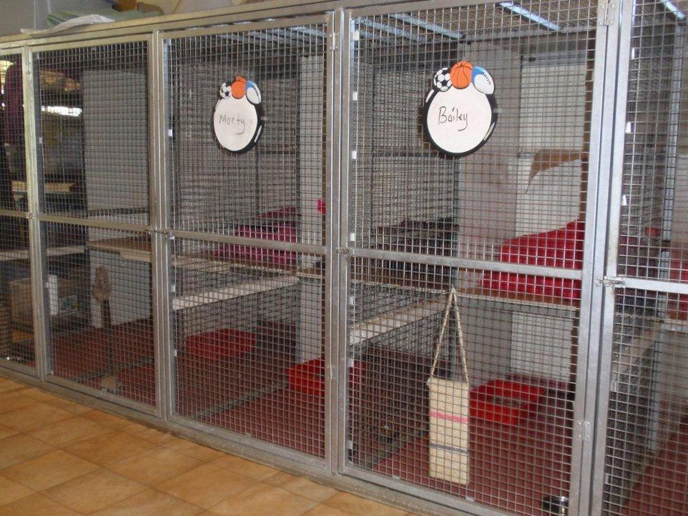 Batemans Bay Boarding Kennels